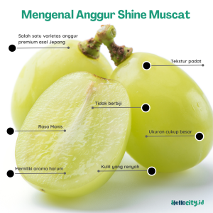 Anggur Shine Muscat Asal Jepang
